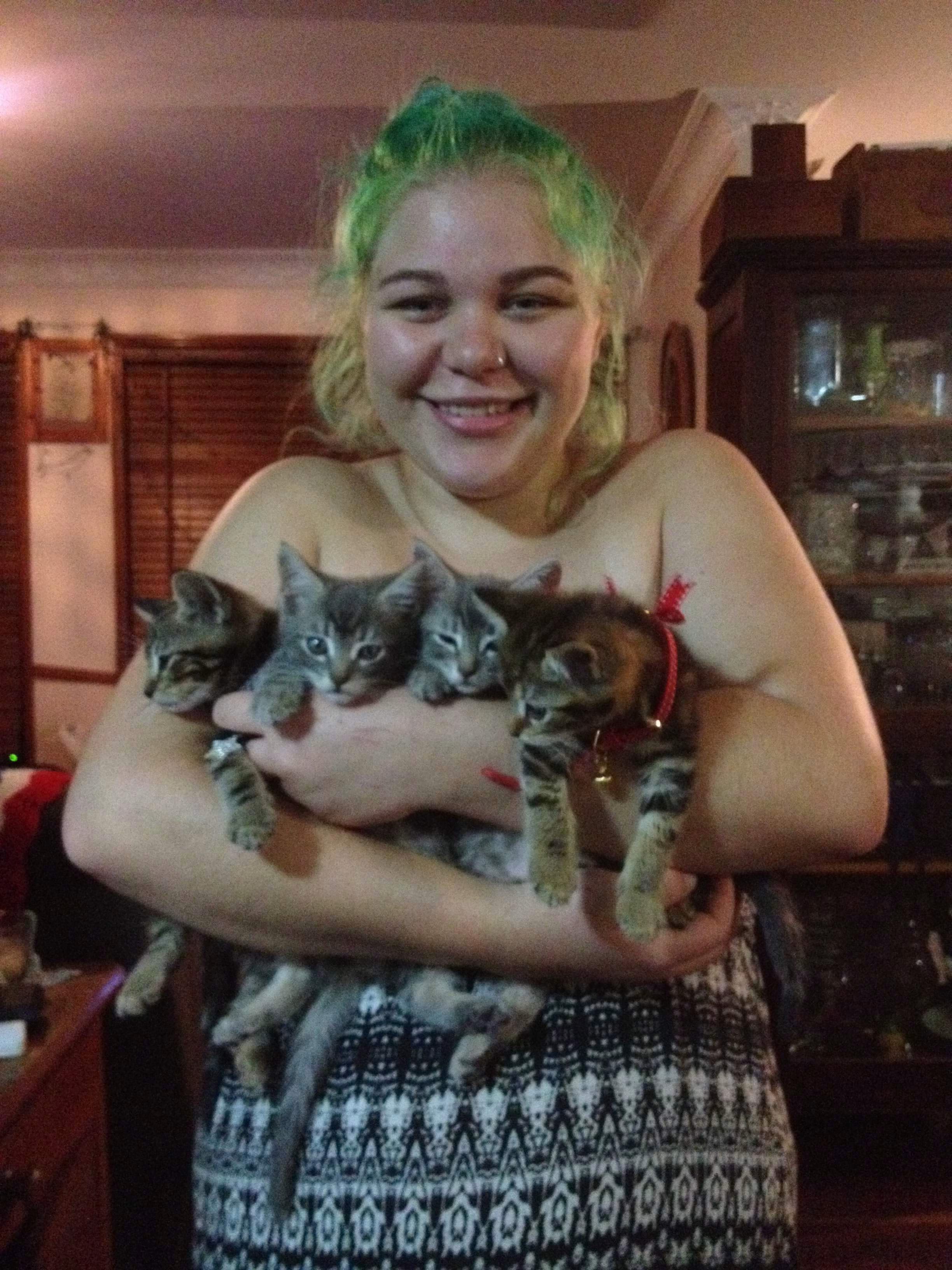 Kittens from the litter